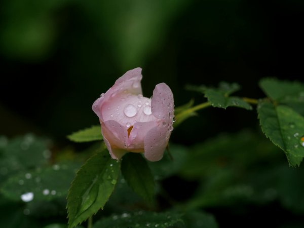 The Ultimate UK Relocation Handbook: Effortlessly Move Your Home and Workshop